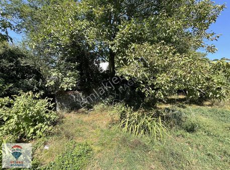 Şile Karakirazda 1000m2 Bahçeli Villa