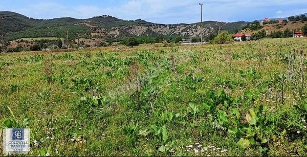 Tunceli De Arsa Fırsatı Kaçırmayın Siz De Yatırım Yapın