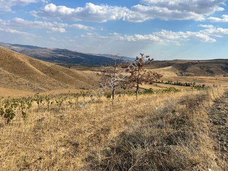 Kalecik Akbörk'te Hobi Bahçelerinin Yanında 12.584 M2 Tarla