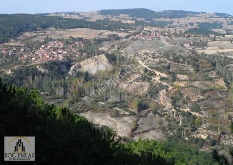 3 Parsel Tek Fiyat Fırsat Arazilerimiz Toplu Satıştadır