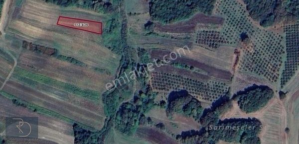 Kandıra Balcı'da 1057 M² Satılık Arsa