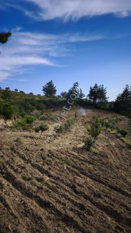 Manavgat Merkeze 15 Km. Yola Cephe Köy İçindeevyapmakiçin Köy İçi Arsa