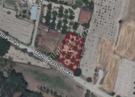 Çal Mahmutgazide Satılık Ceviz Bahçesi/arsa