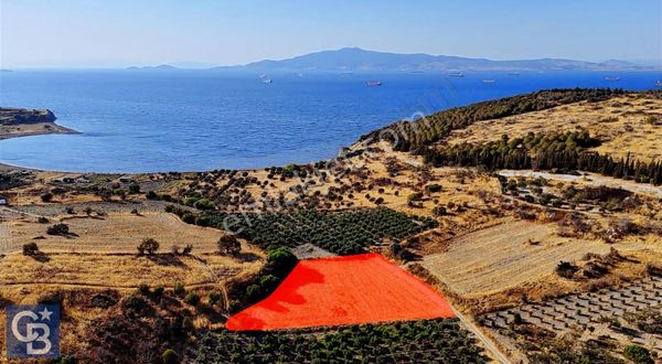 Aliağa Çaltılıdere'de (4540 M2) Satılık Tarla