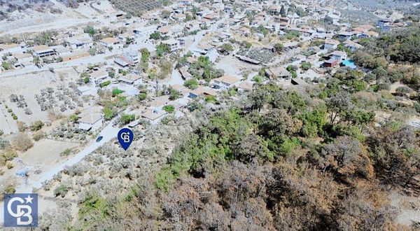 Köy Ve Ormanla İçiçe Yola Cepheli 1806 M2 Müstakil Zeytinlik