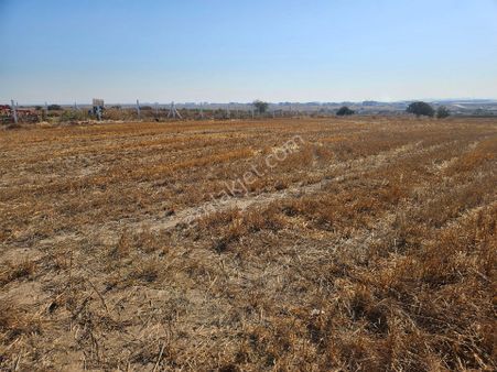 Vize Çakıllı Beldesinde 557 M²