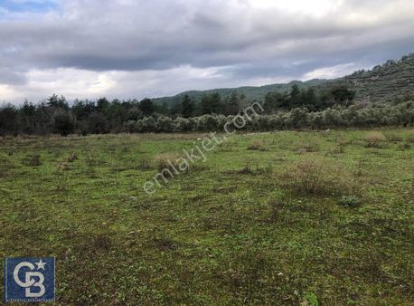 Milas Çam Mahallesinde Muhteşem Arazi