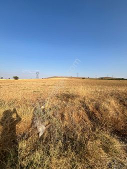 Selçuklu Dağdere'de Satılık 3.595 M2 Tarla