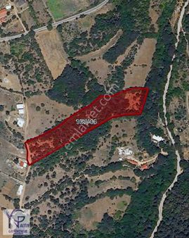 Yng Altın Bursa Osmangazi Soğukpınar'da Satılık Arsa