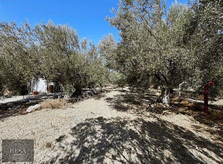 Resa Gayrimenkulden Satılık Hobi Bahçesi