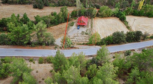 Murat Dağı Yol Üzerinde