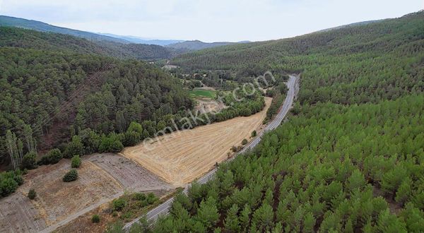 12.000m² % 5 İmarlı Asvalt Venakarsuya Çephe