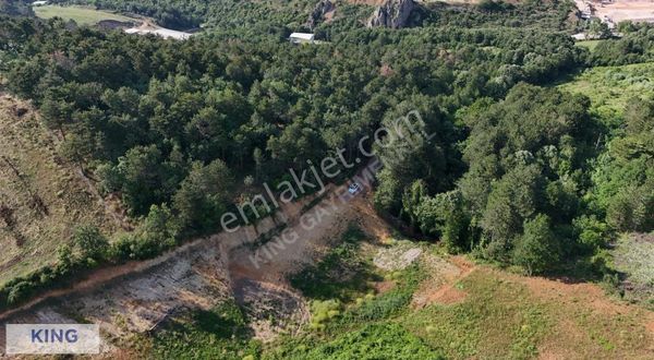 Kıng'den Kestel Burhaniye'de 390m2 Satılık Tarla