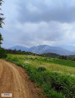 Kıng'den Kestel Gözedede 34 Dönüm Manzaralı Satılık Tarla