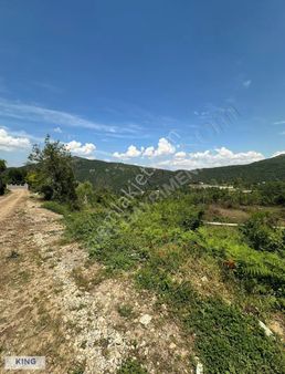 Kıng'den Saitabat'ta İmar Planında 7431m2 Satılık Tarla