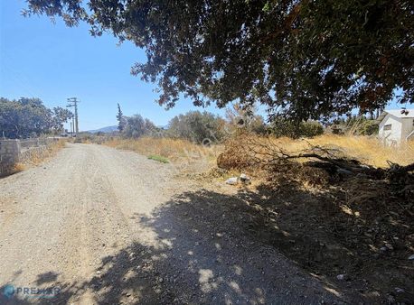Premar Datça Kızlan Mahallesi'nde Satılık Bademlik