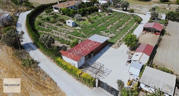 Urla Kuşçular 3+1 Satılık Çiftlik Evi