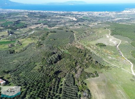 Kuşadası'nda Deniz Manzaralı Yatırıma Uygun Arsalar...