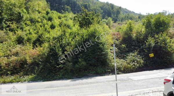 Pazarçayır Da 1416 M2 Yola Cephe