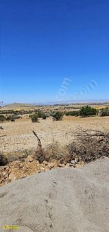 İçi Konteynırlı Satılık Bahçe