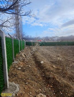 İçi Boş Ya Da Konteynerli Bahçeler