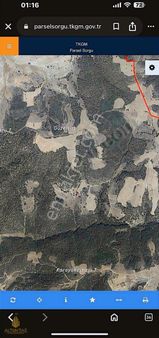 Kütahya Gediz Yagmurlar Mh.yola Yakın Satılık Tarla