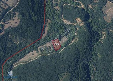 Çanakkale Biga Yolindide 2.300 M² Satılık Yatırımlık Bahçe