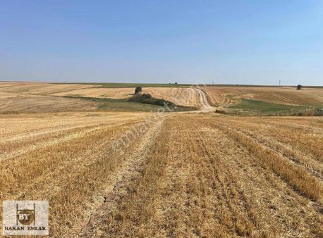 892. Tekirdağ Ergenede. Kupon Arsa