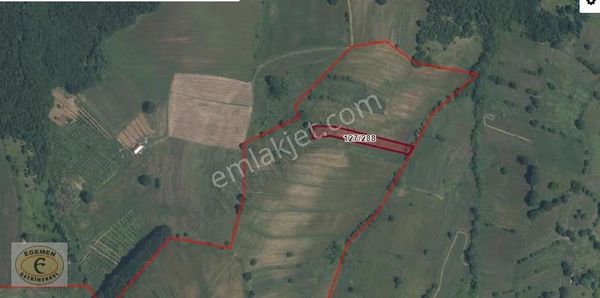 Kocaeli Kaynarca Mahallesinde Göl Manzaralı 2.149m2 Satılık Arsa