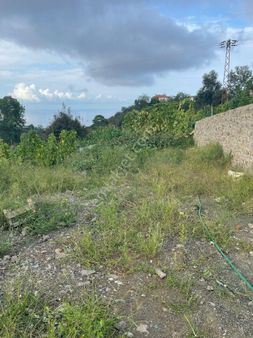 Trabzon Çilekli'de Manzaralı Satılık Arsa