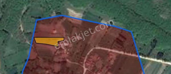 Kırklareli Beypınar Köyünde Fırsat! 3.404m2 Satılık Arsa