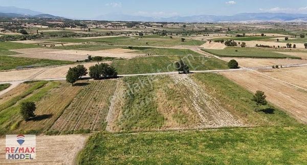 Acıpayam Köke'de Yol Kenarında 14.164m² Satılık Tarla