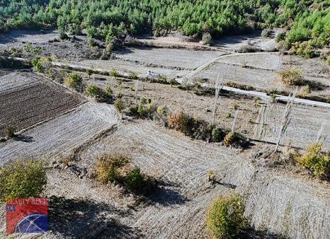 Bilecik Golpazarı Yol Kenarında Satılık Tarla