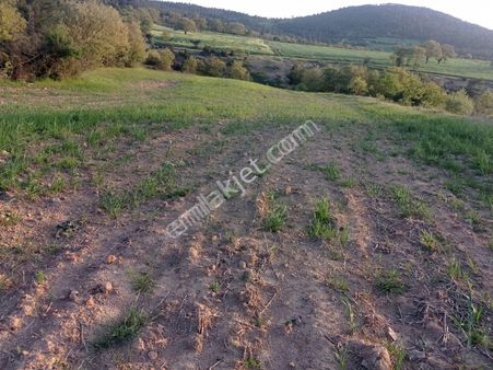 Şile De Satılık Arsa