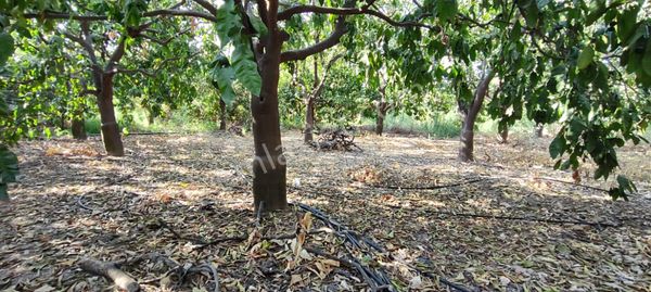 Fa Emlaktan Yenişehir Çavakta 3250m2 Kiralık Arsa