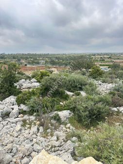 Metin Gayrimenkul Denmersin Silifke Hasanailler Mah Satılık Tarla