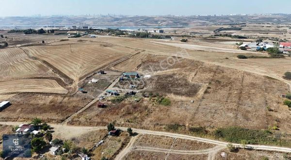 Satılık Arnavutköy Hacımaşlıda İmarlı Tarla