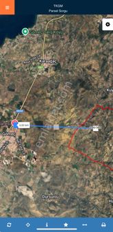 Gömeç’de Satılık Zeytinlik