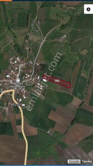 Muratlı Köy Dibinde Fırsat Tarla