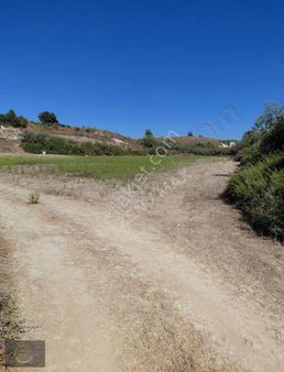 Çolaklıda 450 M² Satılık Hisseli Tarla