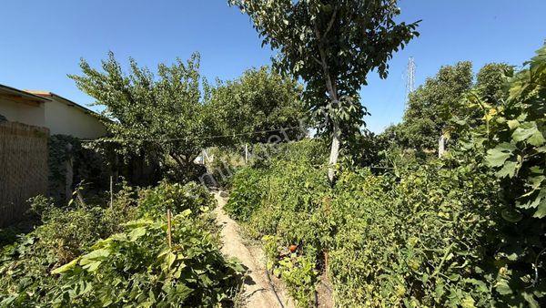 Öz Gaye Emlaktan Develi Güneyaşağı Akyer Mevkinde Satılık Bahçe