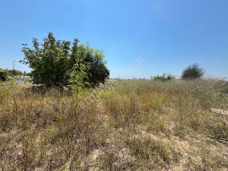 Taşağıl Merkezde Satılık İmarlı Arsa