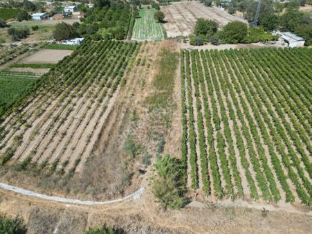 Görece'de Gediz Nehri Yanında Yolu Açık Tarla