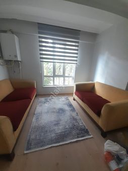 Üniversite Dibi 🚩kelepir 1+1 Apart🚩hazır Kiracılı