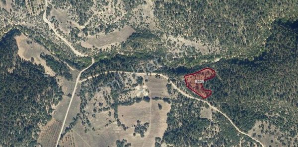 Bursa Keles Hereke Köyü Satılık Tarla