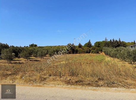 Mudanya Esence'de Kapital'den 566 M2 Satılık Tarla