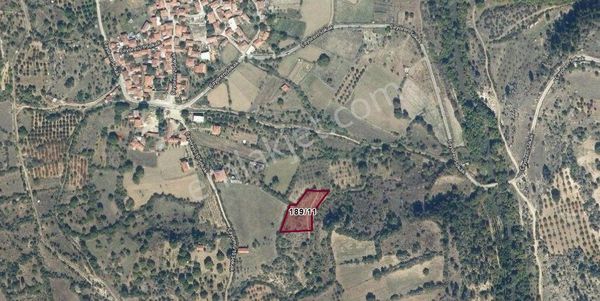 Bursa Keles Hereke Köyü Satılık Bağ & Bahçe