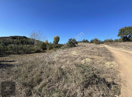 Mudanya Yalıçiftlikte Kapitalden Yatırımlık Hisseli Tarla