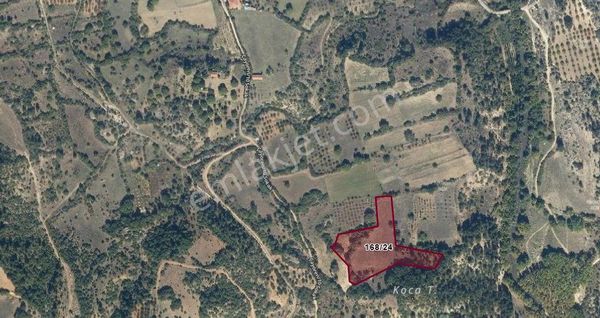 Bursa Keles Hereke Köyü Satılık Tarla