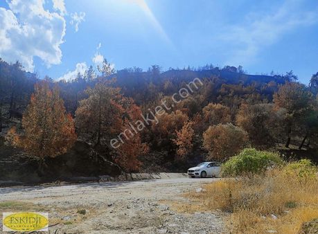 Çanakkale Erenköy Sahil Mevkii Boğaz Manzaralı Satılık Zeytinlik